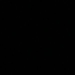 Meet your Posher, Whitney